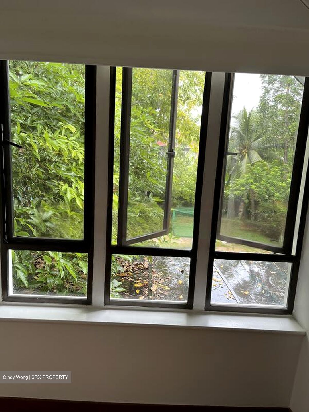 Leedon Park (D10), Detached #476697651